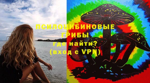 МДПВ Вязьма