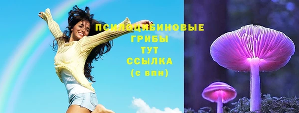 дживик Вязники
