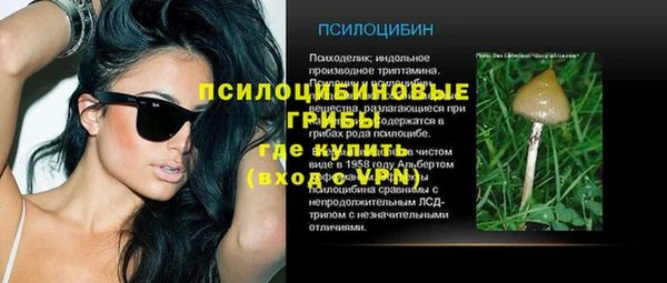 МДПВ Вязьма