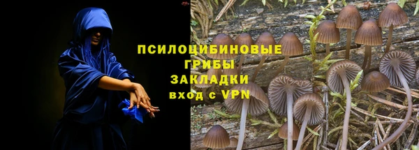 героин Вяземский