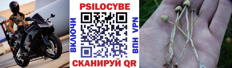 Псилоцибиновые грибы Magic Shrooms  где купить   гидра ссылка  Волгодонск 