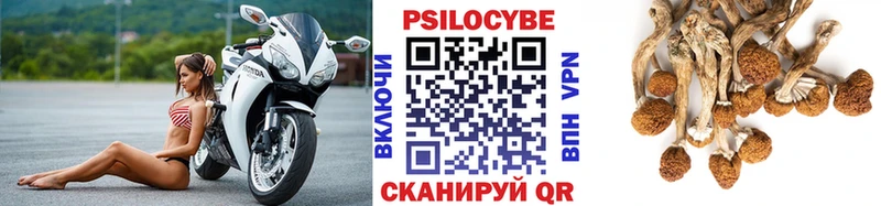 Галлюциногенные грибы Cubensis Волгодонск