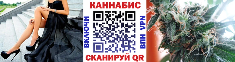где купить наркотик  Волгодонск  Конопля ГИДРОПОН 